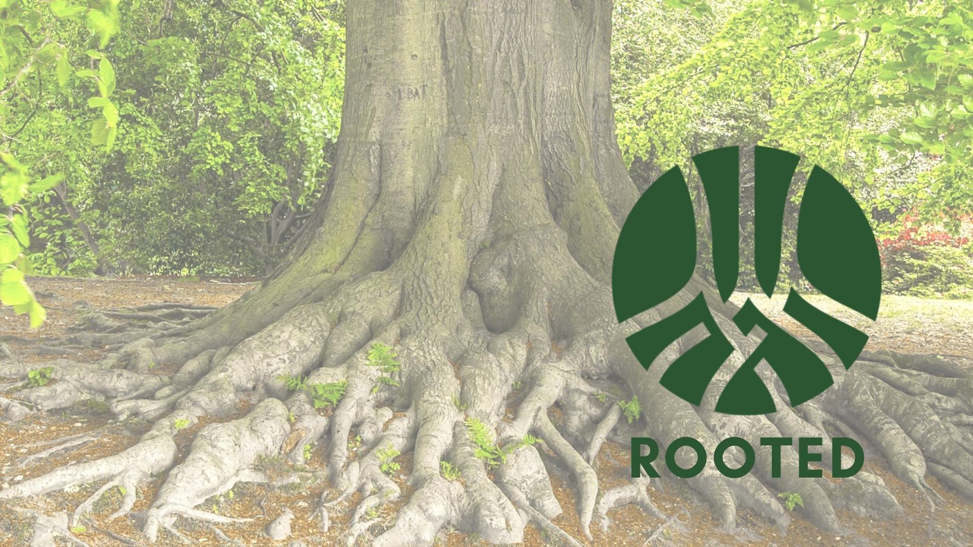 rooted-lakeway-church